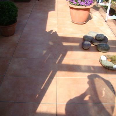 101msd Dsc01259 Dsc01259