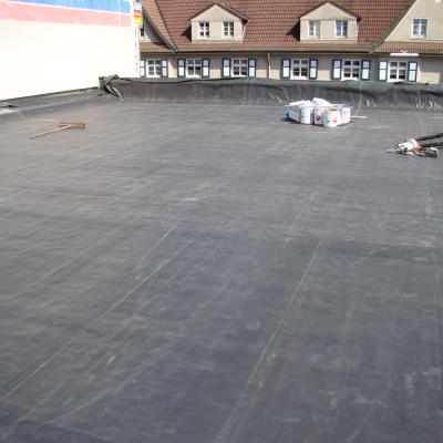 101msd Dsc02994 Dsc02994